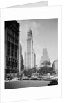 Woolworth Building by Anonymous