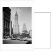 Woolworth Building by Anonymous