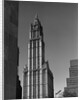 Woolworth Building by Anonymous