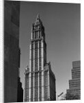 Woolworth Building by Anonymous
