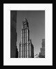 Woolworth Building by Anonymous