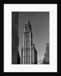 Woolworth Building by Anonymous