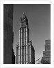 Woolworth Building by Anonymous