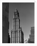 Woolworth Building by Anonymous