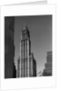 Woolworth Building by Anonymous