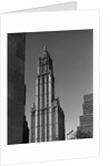 Woolworth Building by Anonymous