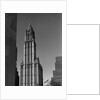 Woolworth Building by Anonymous
