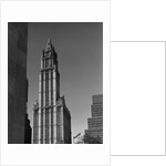 Woolworth Building by Anonymous