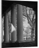 Colonnade on the Grounds of Academical Village at the University of Virginia by Corbis