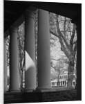 Colonnade on the Grounds of Academical Village at the University of Virginia by Anonymous