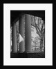 Colonnade on the Grounds of Academical Village at the University of Virginia by Anonymous