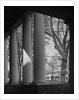 Colonnade on the Grounds of Academical Village at the University of Virginia by Corbis