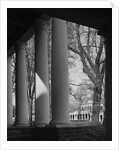 Colonnade on the Grounds of Academical Village at the University of Virginia by Anonymous