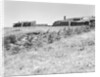 Sea Ranch by Anonymous