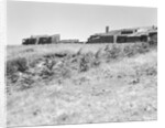 Sea Ranch by Anonymous