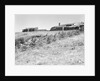 Sea Ranch by Anonymous