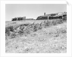 Sea Ranch by Anonymous