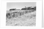 Sea Ranch by Anonymous