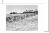 Sea Ranch by Anonymous