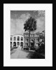 Savannah Cotton Exchange by Anonymous