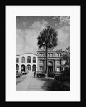 Savannah Cotton Exchange by Anonymous