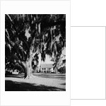 Maison Oliver by Anonymous