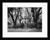 Stanton Hall by Anonymous
