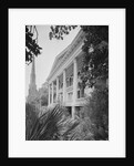 Back Porch of Bellamy Mansion by Anonymous