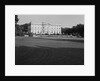 The Elms by Anonymous