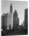 Wrigley Building and the Tribune Tower by Anonymous