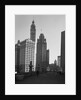 Wrigley Building and the Tribune Tower by Anonymous