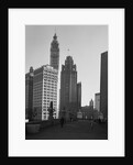 Wrigley Building and the Tribune Tower by Anonymous