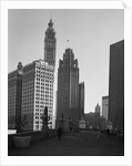 Wrigley Building and the Tribune Tower by Anonymous