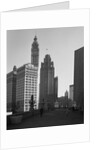 Wrigley Building and the Tribune Tower by Anonymous