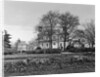 Mount Pleasant by Anonymous