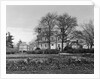 Mount Pleasant by Anonymous