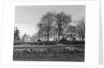 Mount Pleasant by Anonymous