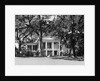 Oakleigh by Anonymous