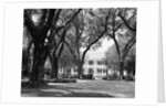 Manor House at Rosedown Plantation by Anonymous