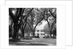 Manor House at Rosedown Plantation by Anonymous