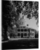 Longwood by Anonymous