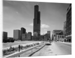 Chicago with the Sears Tower by Anonymous
