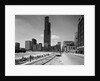 Chicago with the Sears Tower by Anonymous