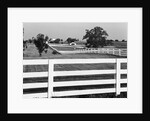 Lexington Horse Farms by Anonymous