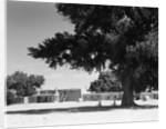 San Ildefonso Pueblo by Anonymous