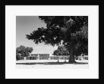 San Ildefonso Pueblo by Anonymous