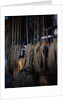 Ropes Controlling Scenery at Metropolitan Opera House by Anonymous