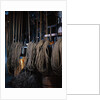 Ropes Controlling Scenery at Metropolitan Opera House by Anonymous