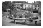 Drying and Sorting Wool by Anonymous