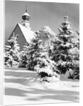 Winter Scene by Anonymous